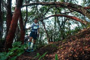 BIB: 
                            <button type="button" onclick="openModal(26344904)" class="btn btn-primary btn-sm float-right btn-popup" data-toggle="modal" data-target=".modal-high-quality">
                        <i class="fas fa-shopping-cart"></i> Add to Cart
                    </button>
                                            <button type="button" onclick="isThisMe(26344904, true)" class="btn btn-success btn-sm float-right btn-popup btn-isme hidden" data-toggle="tooltip" data-placement="bottom" title="นี่คือรูปของคุณใช่ไหม คลิกที่นี่เพื่อเอาเข้าอัลบั้ม">
                        <i class="fas fa-plus"></i> Add to album
                    </button>
                    <button type="button" onclick="isThisMe(26344904, false)" class="btn btn-warning btn-sm float-right btn-popup btn-isnotme hidden">
                        <i class="fas fa-ban"></i> Remove from album
                    </button>